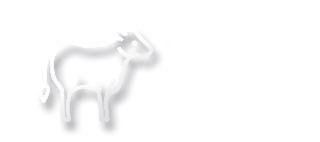 Gallegos Trailers